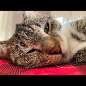 Meet your Posher, Tetley